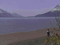 Alaska the Last Frontier